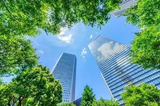 arborização nas cidades e o uso de plataformas elevatórias