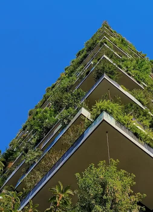 Compensação de carbono em obras: etapas e desafios