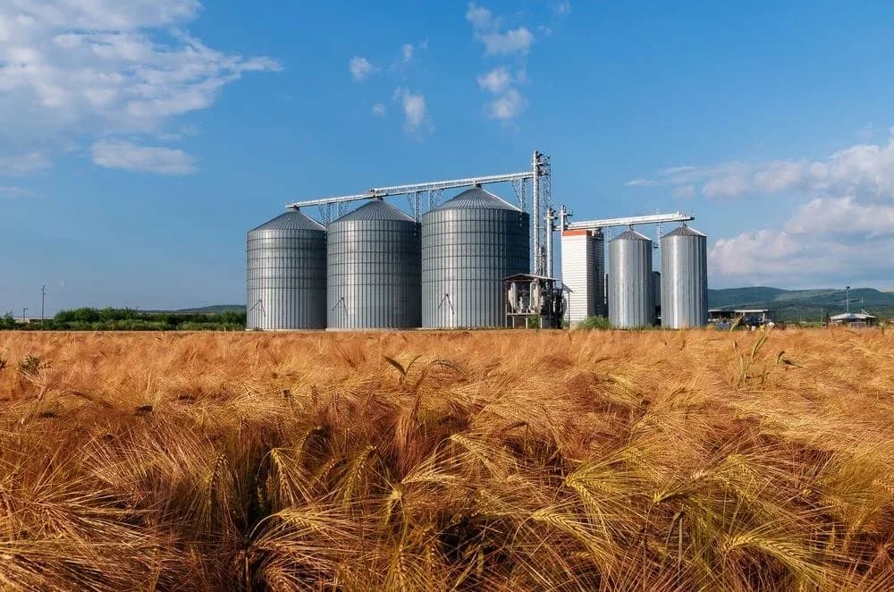 Uso de plataformas elevatórias para manutenção de silos