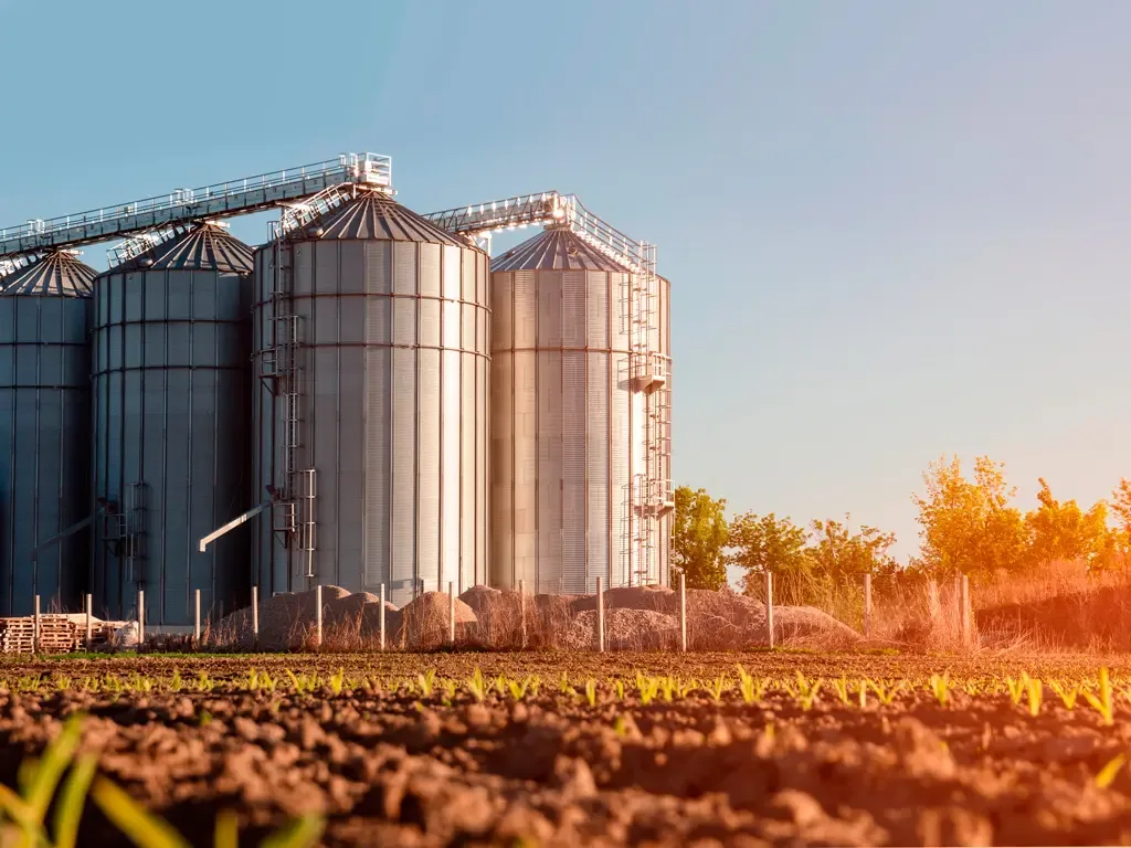 Manutenção de silos utilizando plataformas elevatórias