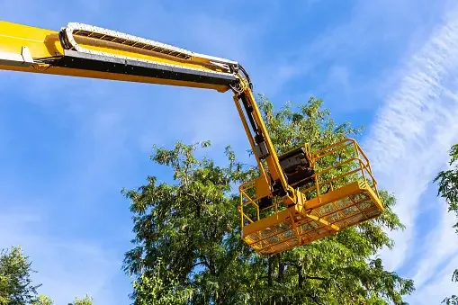 ARBORIZAÇÃO NAS CIDADES E O PAPEL DAS PLATAFORMAS ELEVATÓRIAS