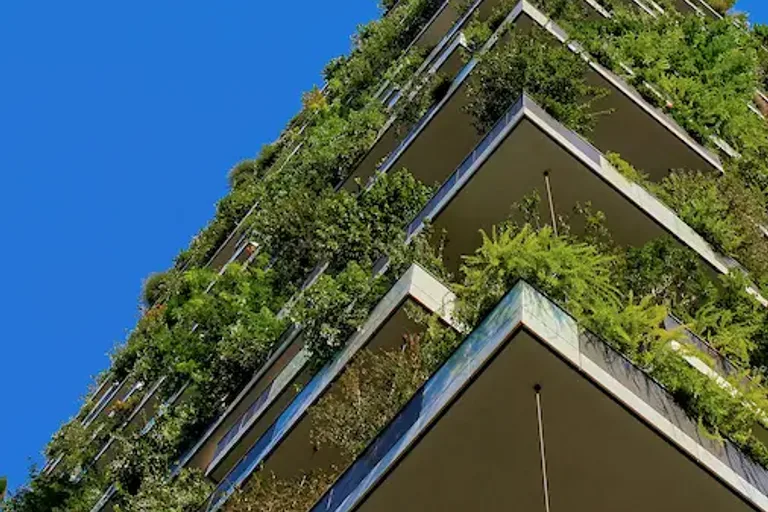 Compensação de carbono em obras: etapas e desafios