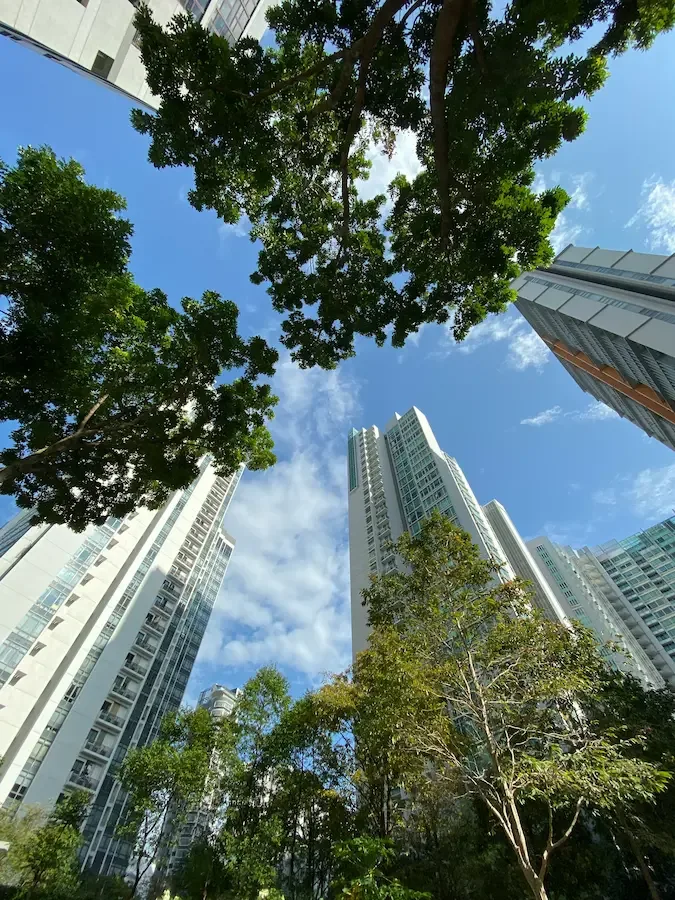 Compensação de Carbono nas Obras de Construção Civil