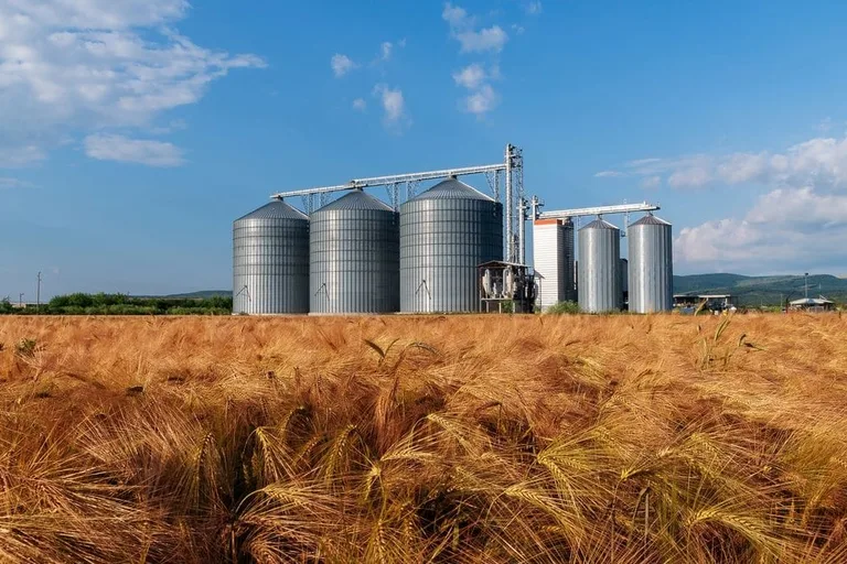 Manutenção de Silos Utilizando Plataformas Elevatórias